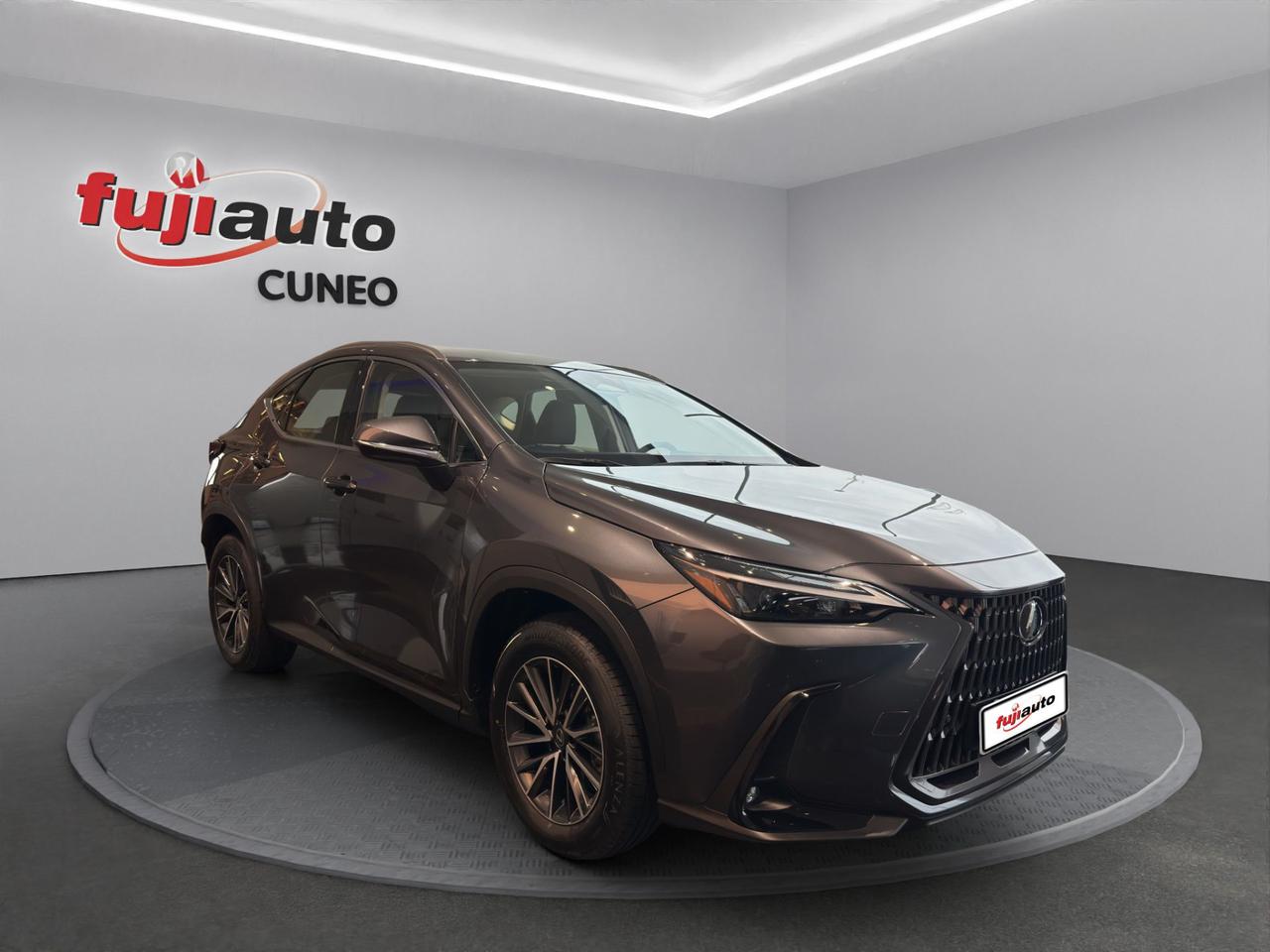 Lexus NX 2.5 Business 4wd 244 cv e-cvt