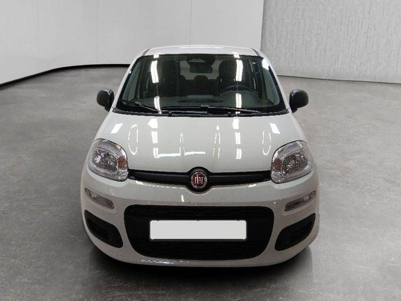 FIAT Pandina 1.0 firefly hybrid Icon s&s 70cv 5p.ti