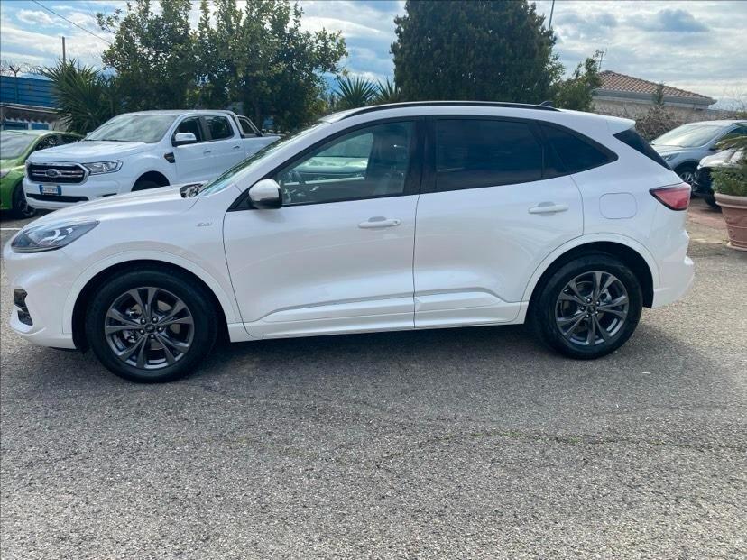 Ford Kuga 1.5 EcoBlue 120 CV aut. 2WD ST-Line X