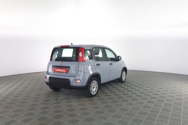 FIAT Panda Panda 1.0 FireFly Hybrid City Life
