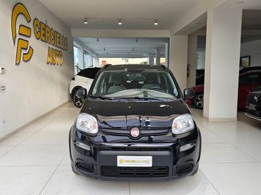 FIAT Panda 1.0 FireFly S&S Hybrid City Life da ?129,00 mensil