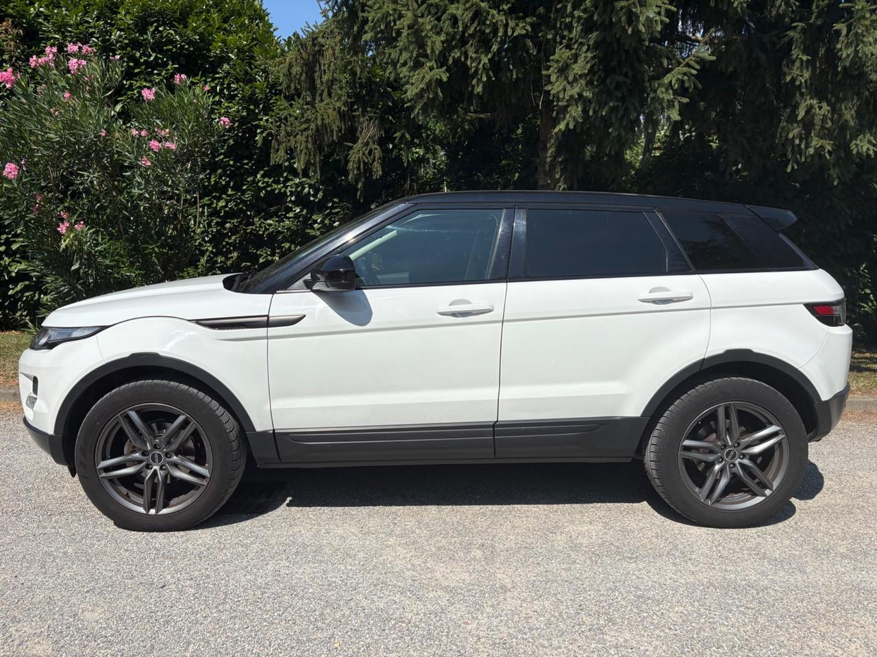 Range Rover Evoque 5p 2.2 td4 Pure Tech Pack 150cv