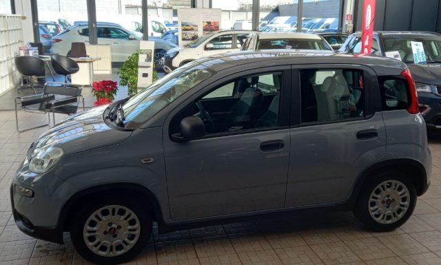 FIAT Panda 1.0 FireFly S&S Hybrid