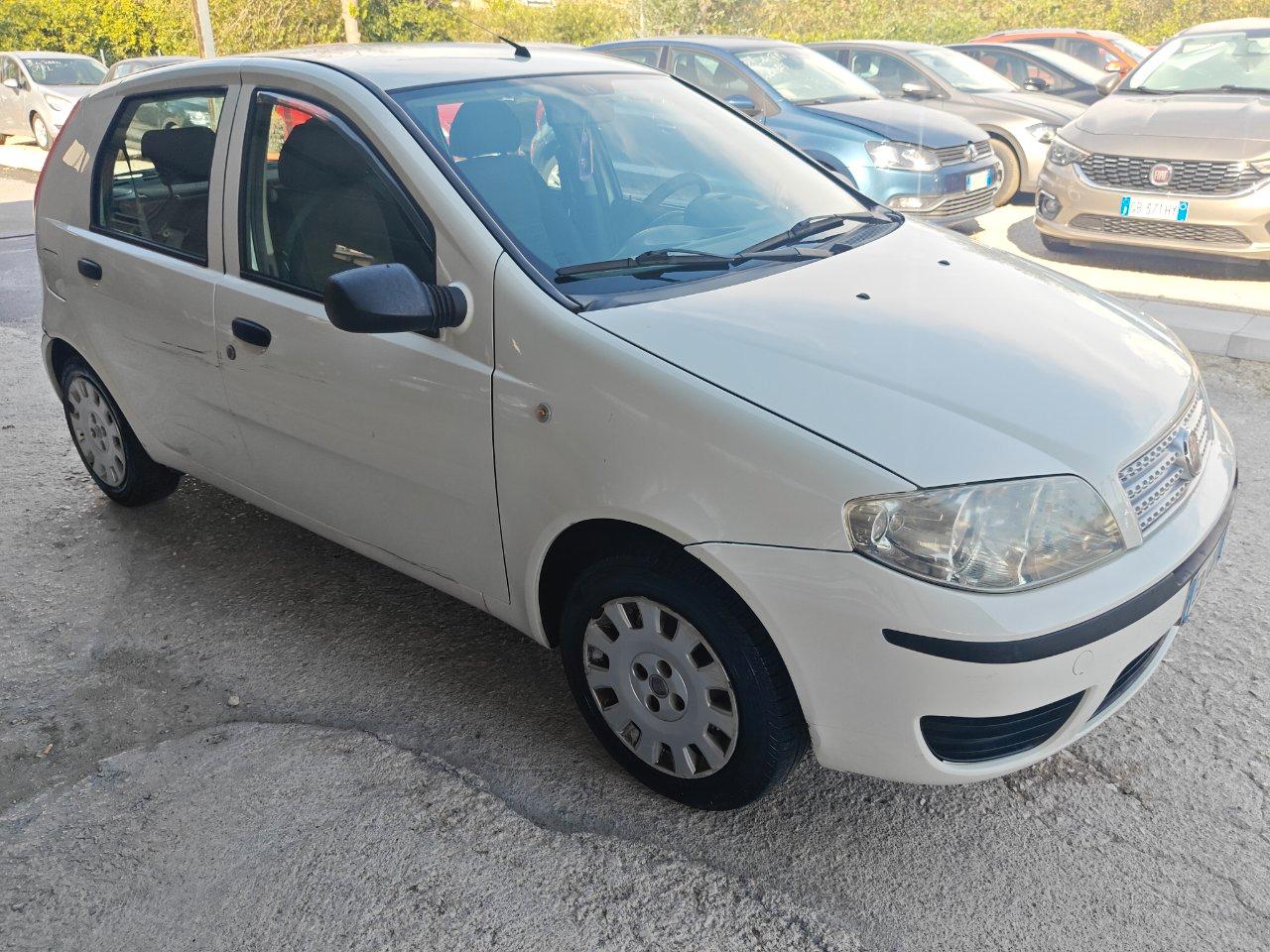 Fiat Punto 5 Porte Punto 5p 1.2 Classic Active