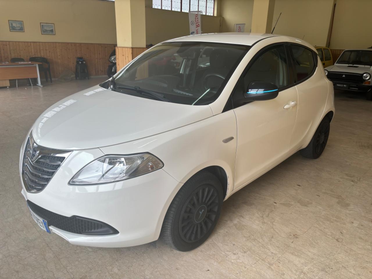 Lancia Ypsilon 1.3 MJT 16V 95 CV 5 porte S&S Elefantino