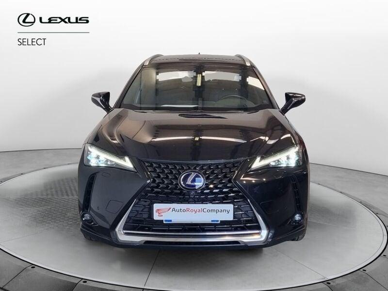 Lexus UX Hybrid 4WD Luxury