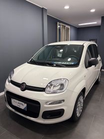 Fiat Pandina ICON KM0 PREZZO REALE