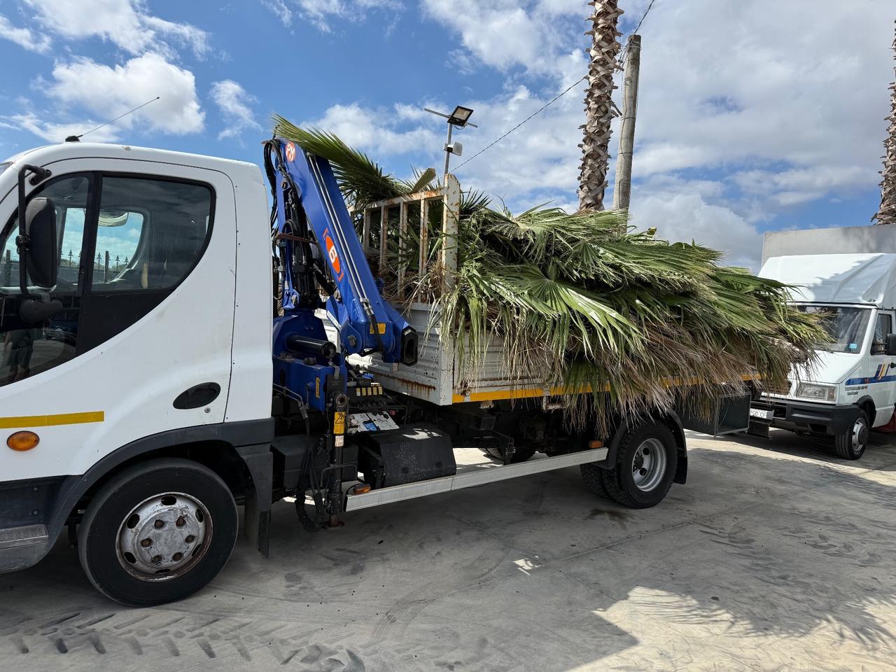 C O M P R O CAMION CON PATENTE B DAILY DUCATO ECC