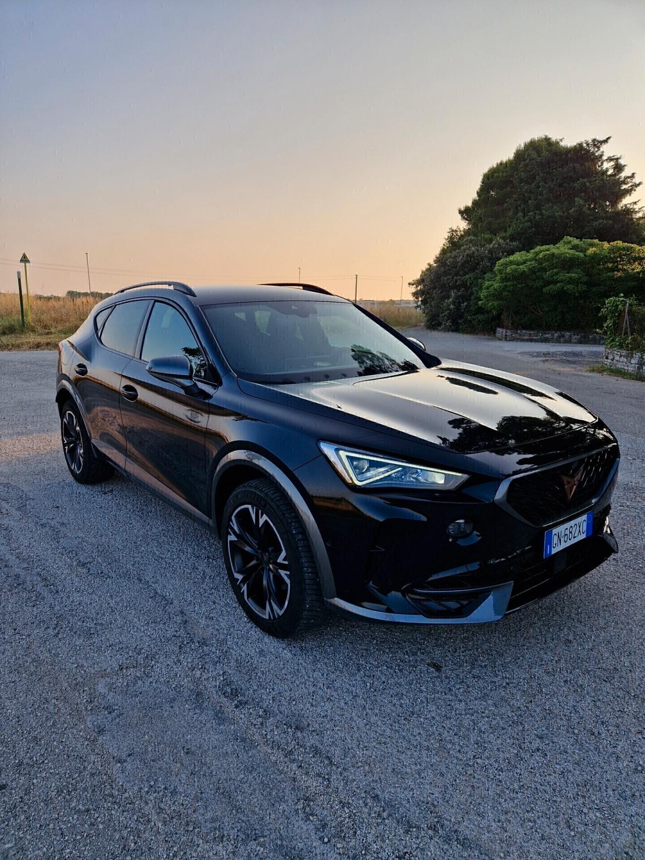 Cupra Formentor 2.0 TDI 4Drive DSG 4x4
