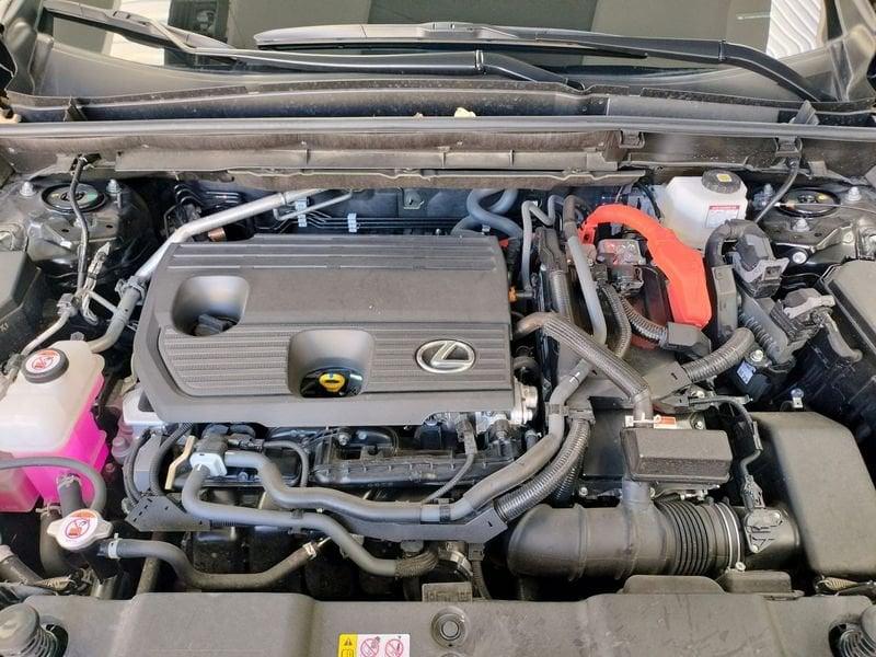 Lexus NX NX Hybrid 4WD Business