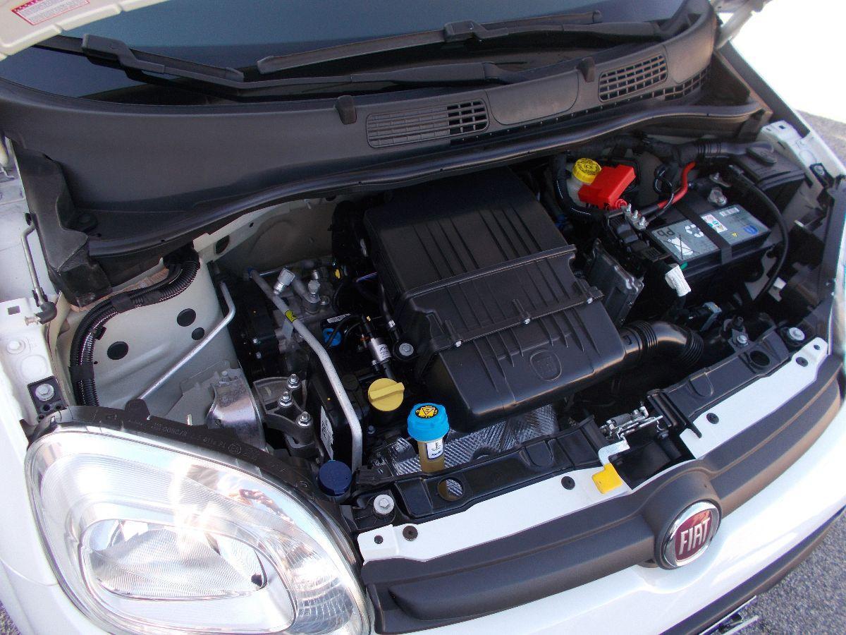 FIAT - Panda - 1.2 Pop