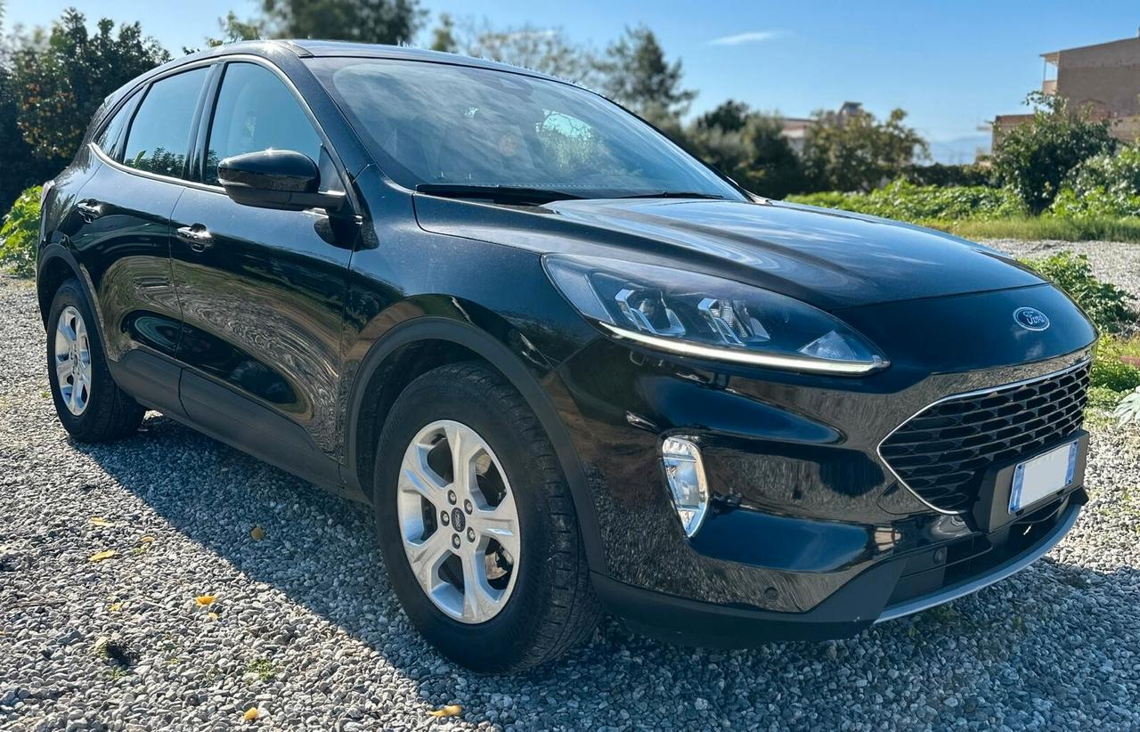 Ford Kuga 1.5 EcoBlue 120 CV aut. 2WD Connect