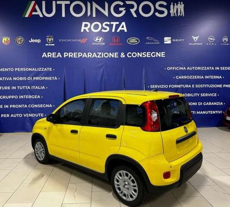 FIAT Panda 1.0 firefly hybrid 70CV s&s NUOVA DA IMMATRICOLARE