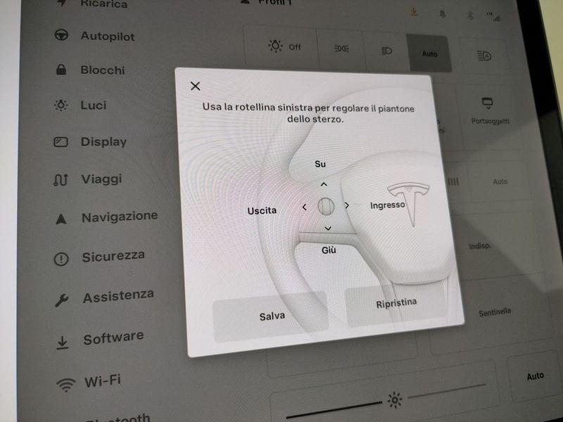 Tesla Model 3 Performance Dual Motor awd