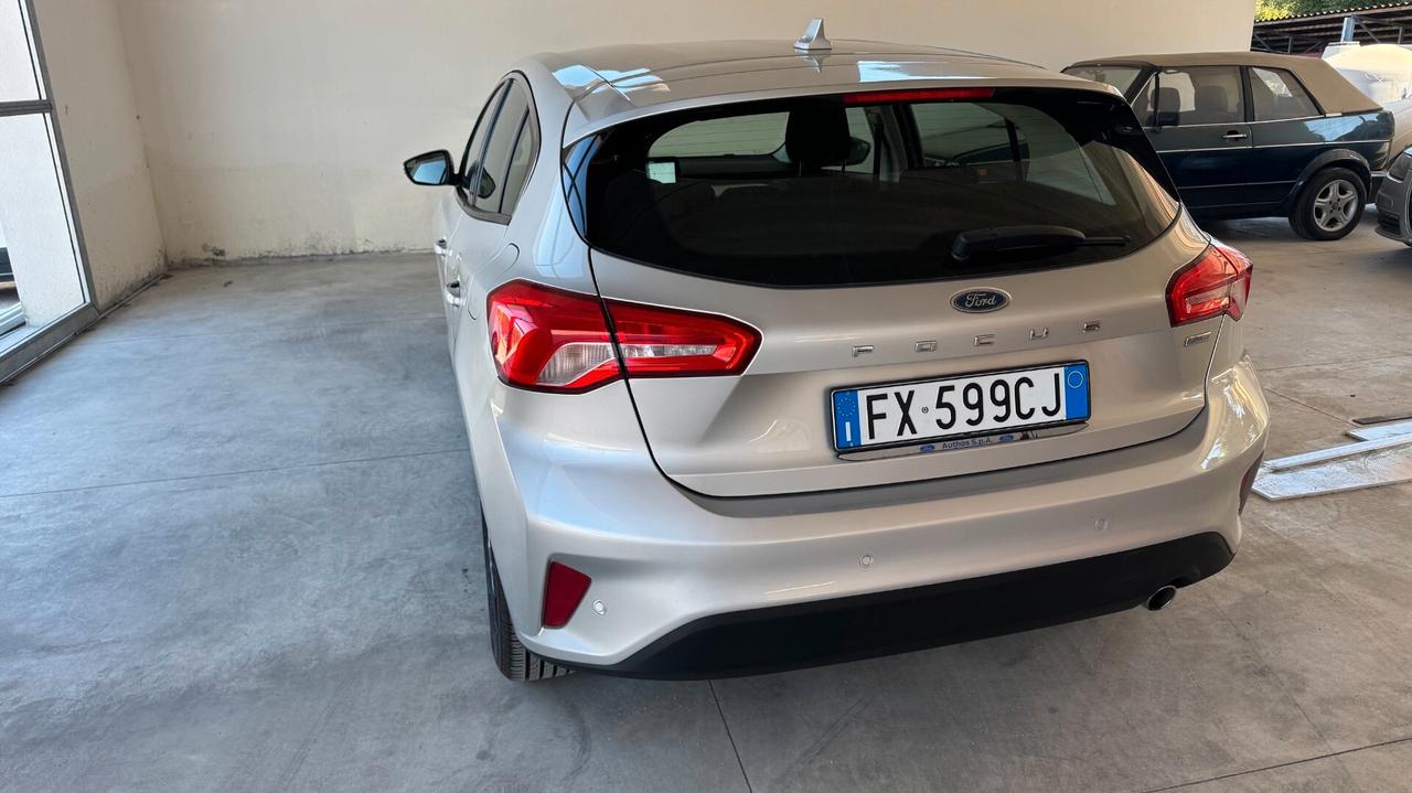 Ford Focus 1.5 EcoBlue 120 CV 5p. Business