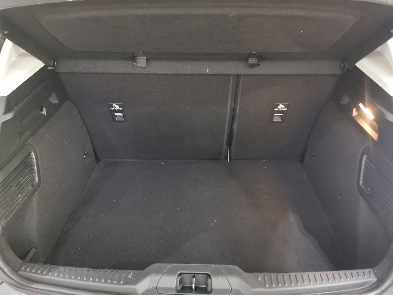 Ford Focus 1.5 EcoBlue 120 CV 5p. Business