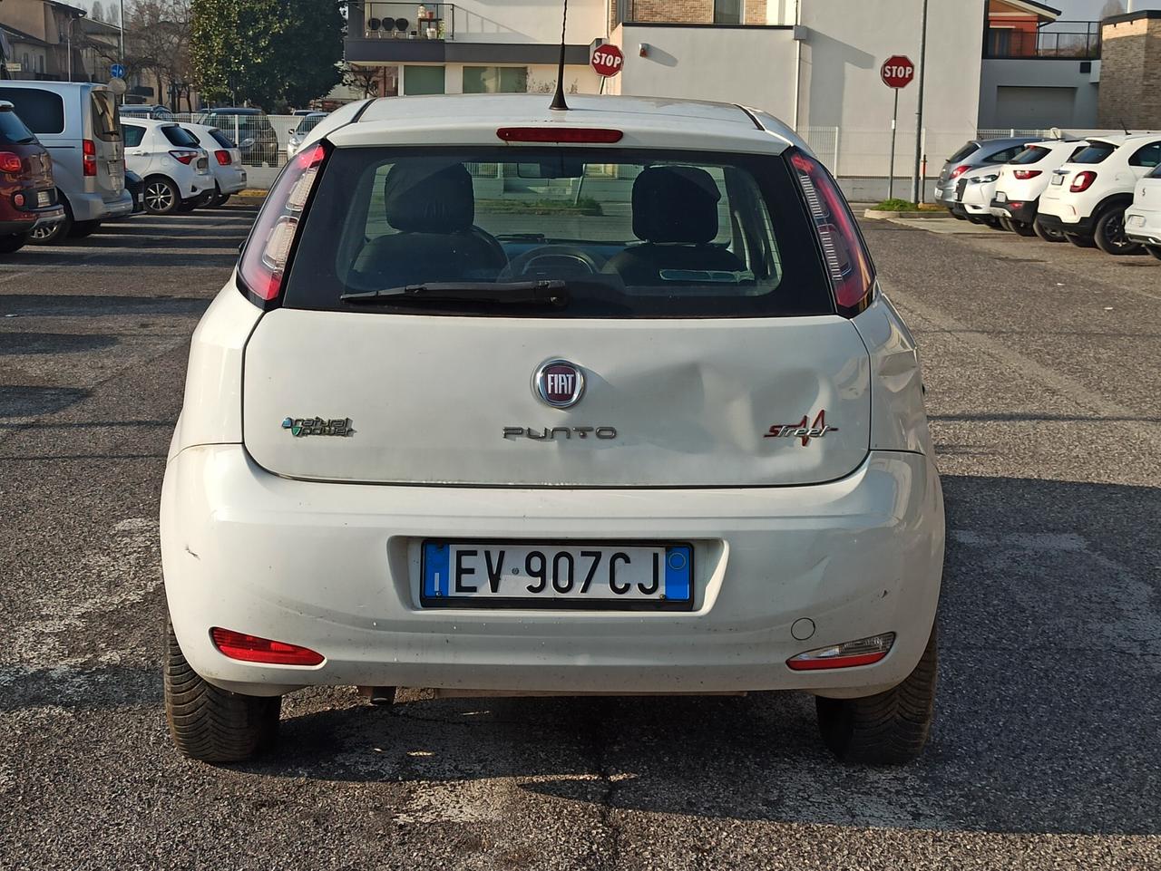 Fiat Punto 1.4 8V 5 porte Natural Power Street