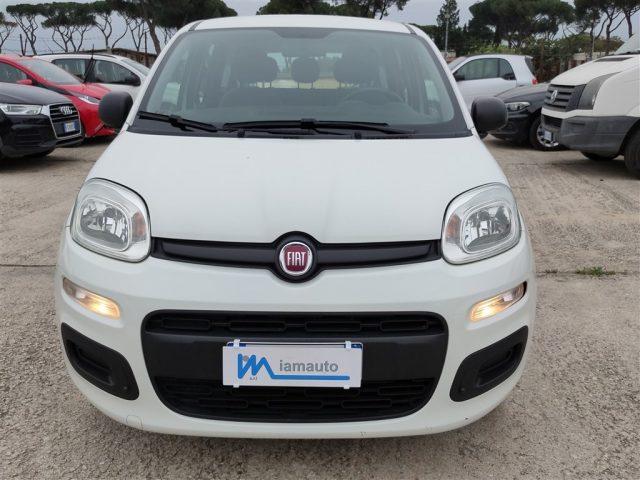 FIAT Panda 1.2 Easy CLIMATIZZATORE OK NEOPATENTATI