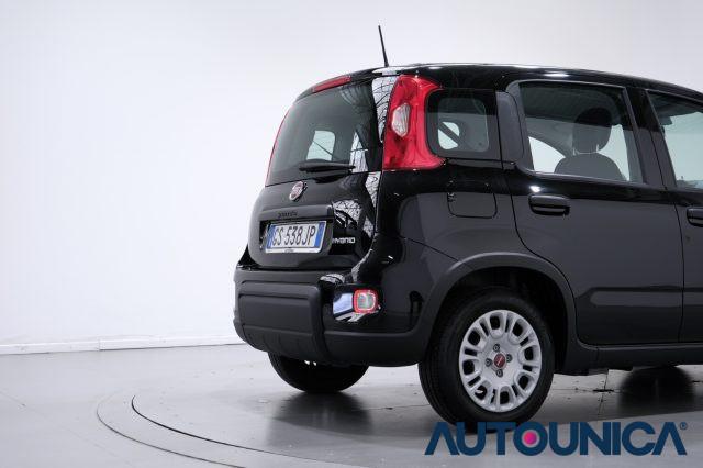 FIAT Panda 1.0 FIREFLY S&S HYBRID CITY LIFE NEOPATENTATI
