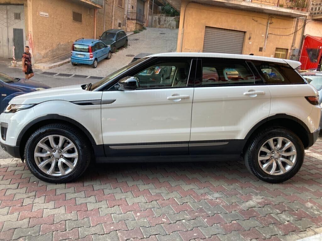 Range Rover Evoque 2.0 TD4 150 CV 5p. Business Edition Pure