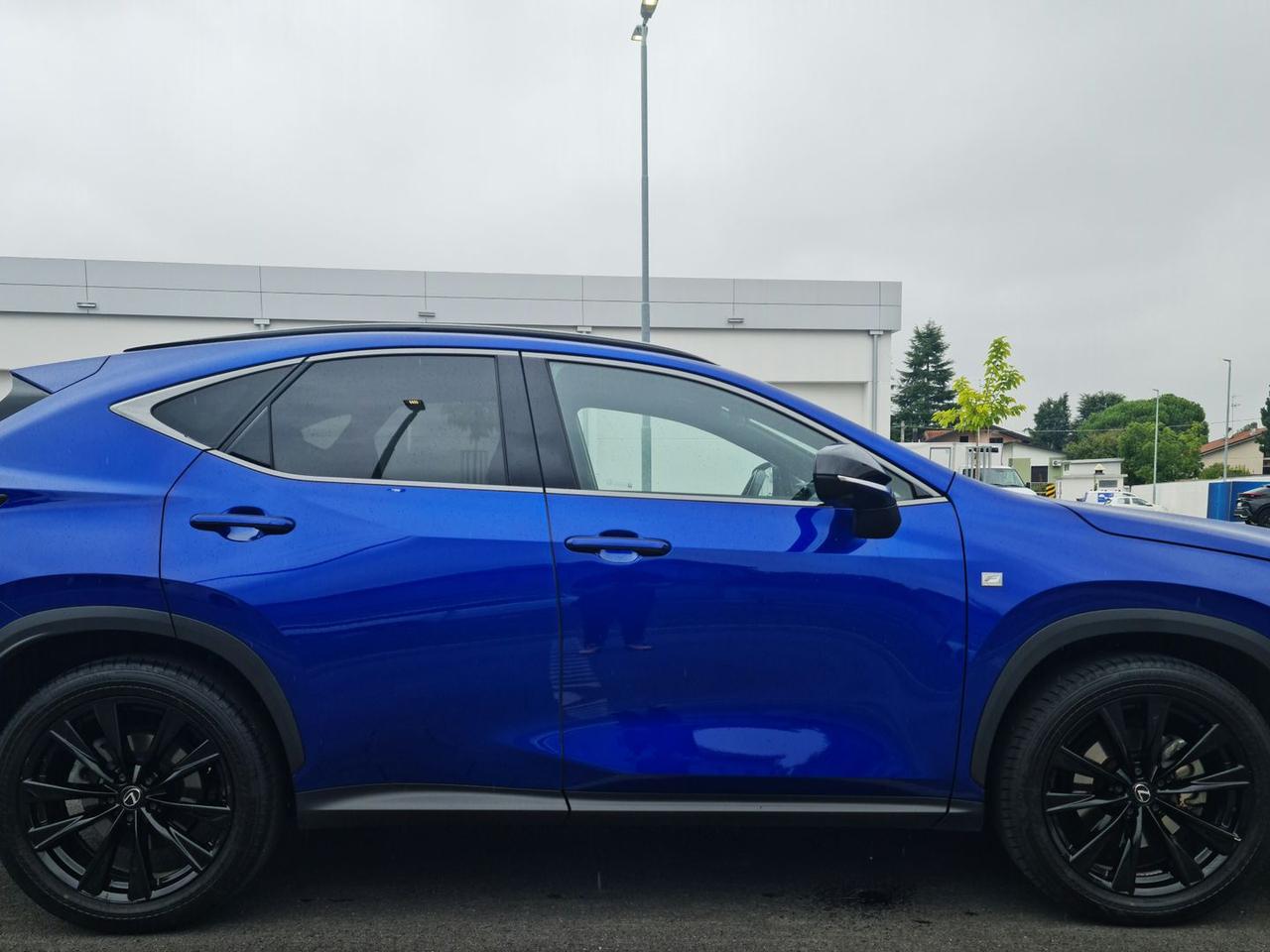 Lexus NX 350 h #6372