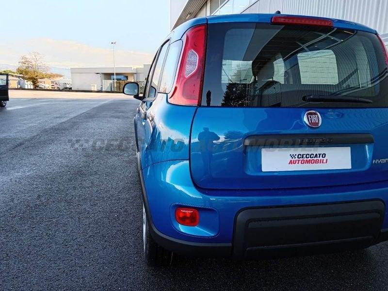 FIAT Panda 1.0 Hybrid 70 cv