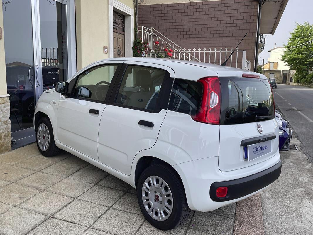 Fiat Panda 1.2 Easy S&S 69cv my19 "Adatta anche per neopatentati" (fendinebbia-Bluetooth - USB-Block System)