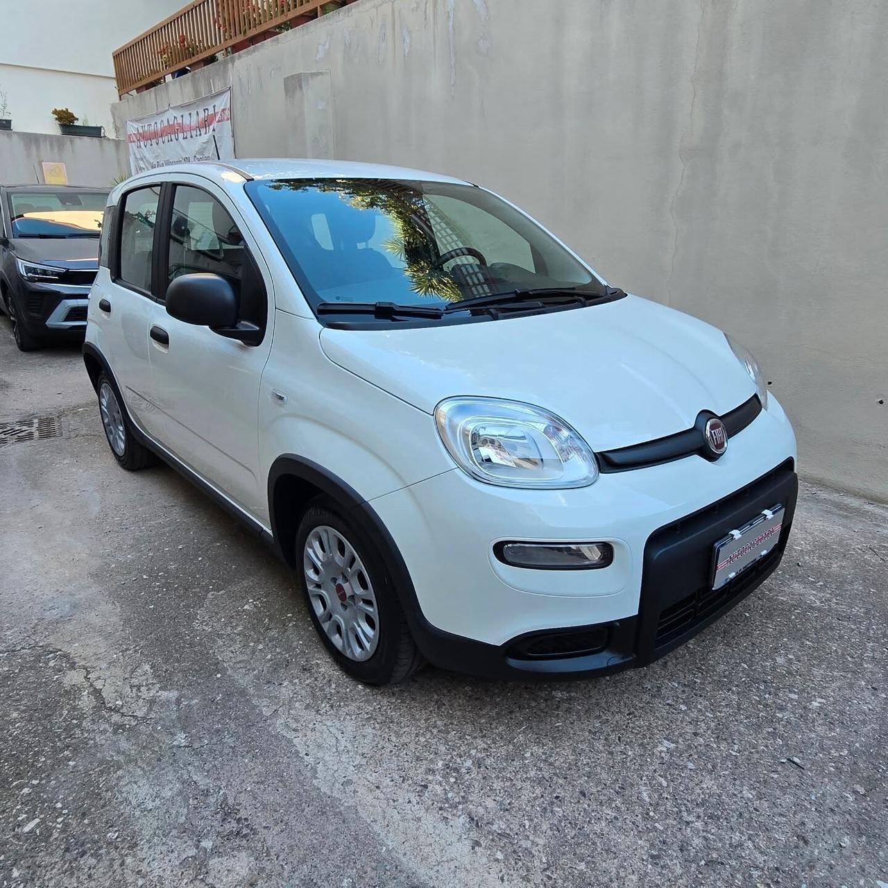 Fiat Panda 1.0 FireFly 70cv Hybrid City Life - 31.000 km