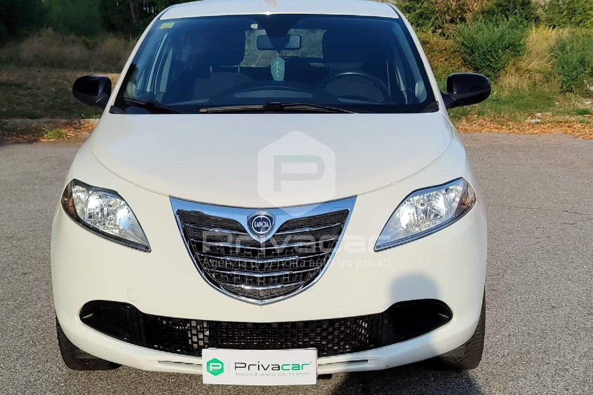 LANCIA Ypsilon 1.2 69 CV 5 porte Elefantino