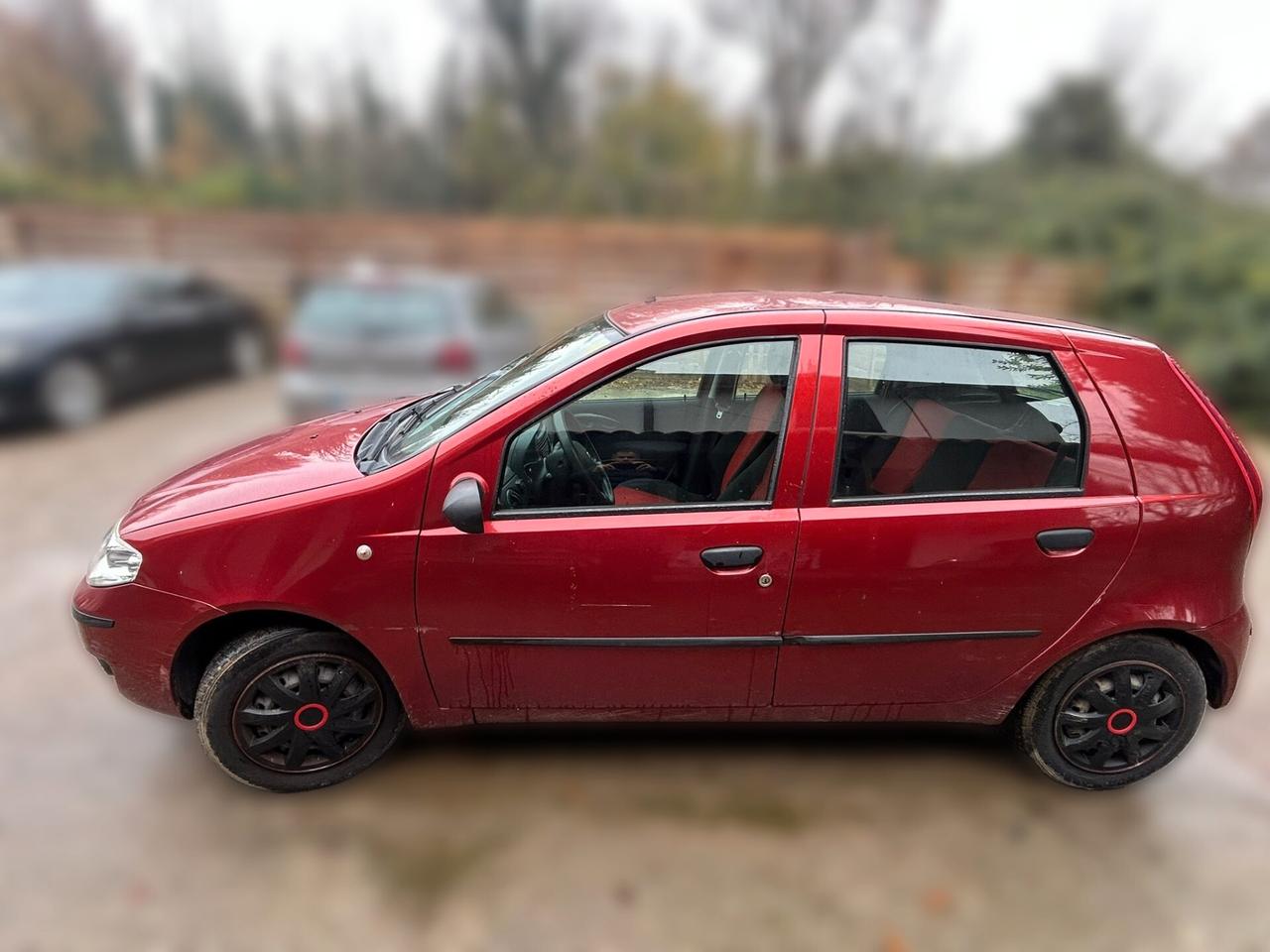 Fiat Punto 5p 1.2 natural power - ANCHE PER NEOPATENTATI