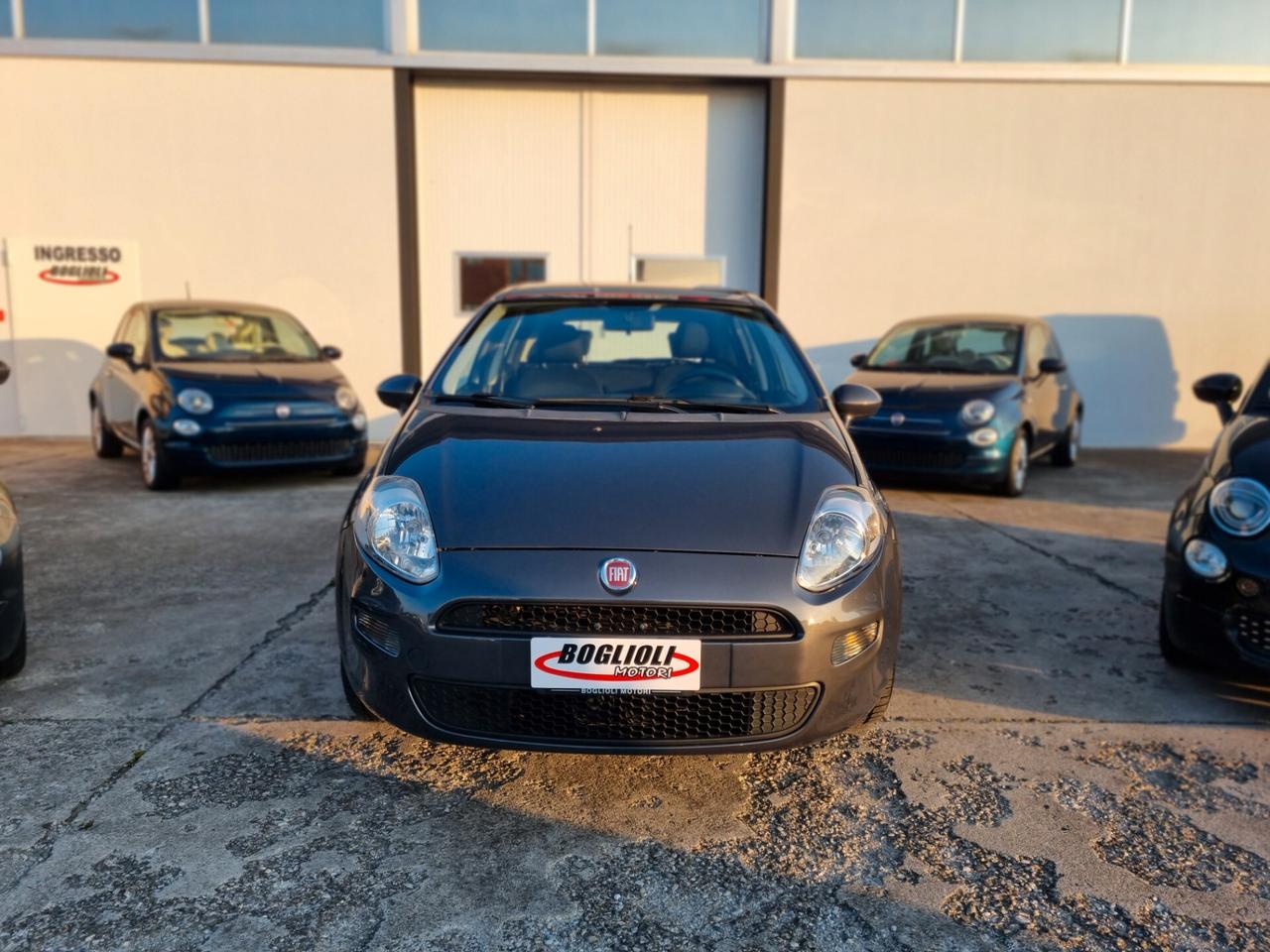 Fiat Punto 1.2 8V 5 porte Street