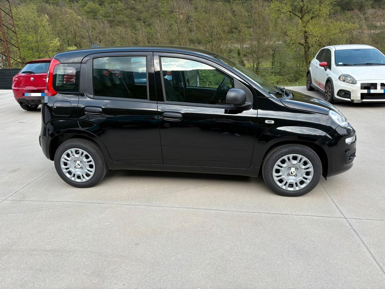 Fiat Panda 1.0 FireFly S&S Hybrid Icon