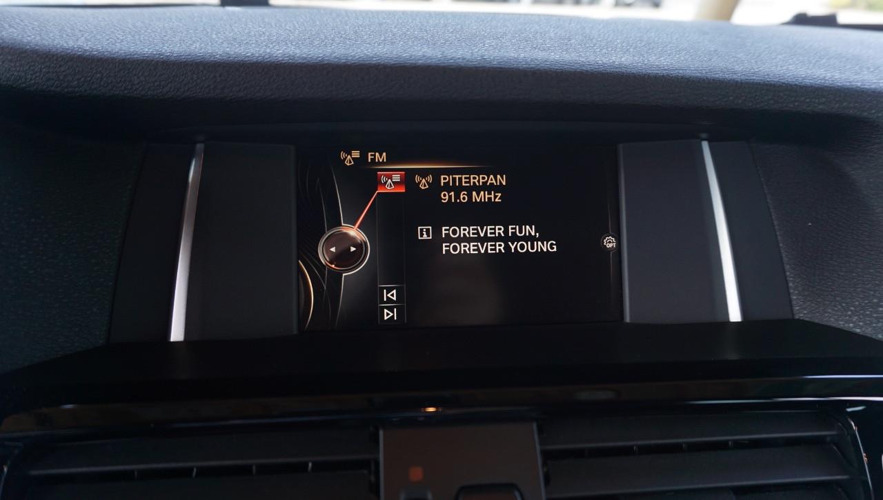 BMW X4 xdrive20d xLine auto