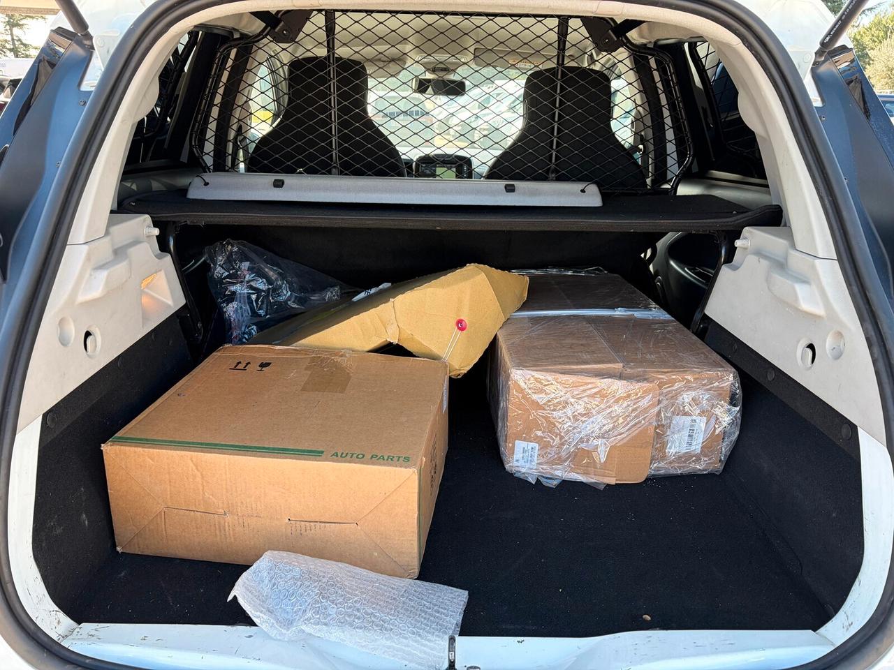 Renault ZOE VAN ELETTRICA 2 POSTI