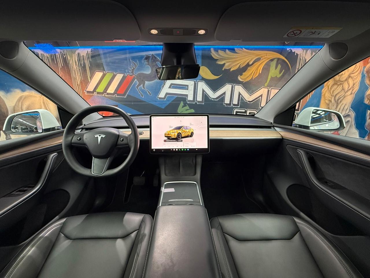 Tesla Model Y Long Range AWD (892)