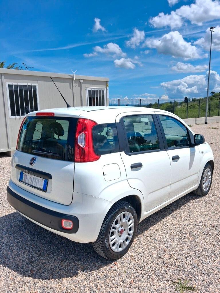 FIAT Panda 3ª serie Panda 1.3 MJT S&S Easy