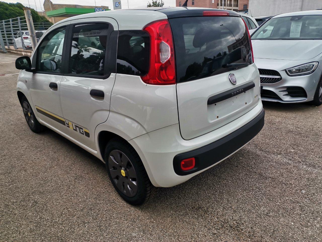 Fiat Panda 1.2 Young 69cv