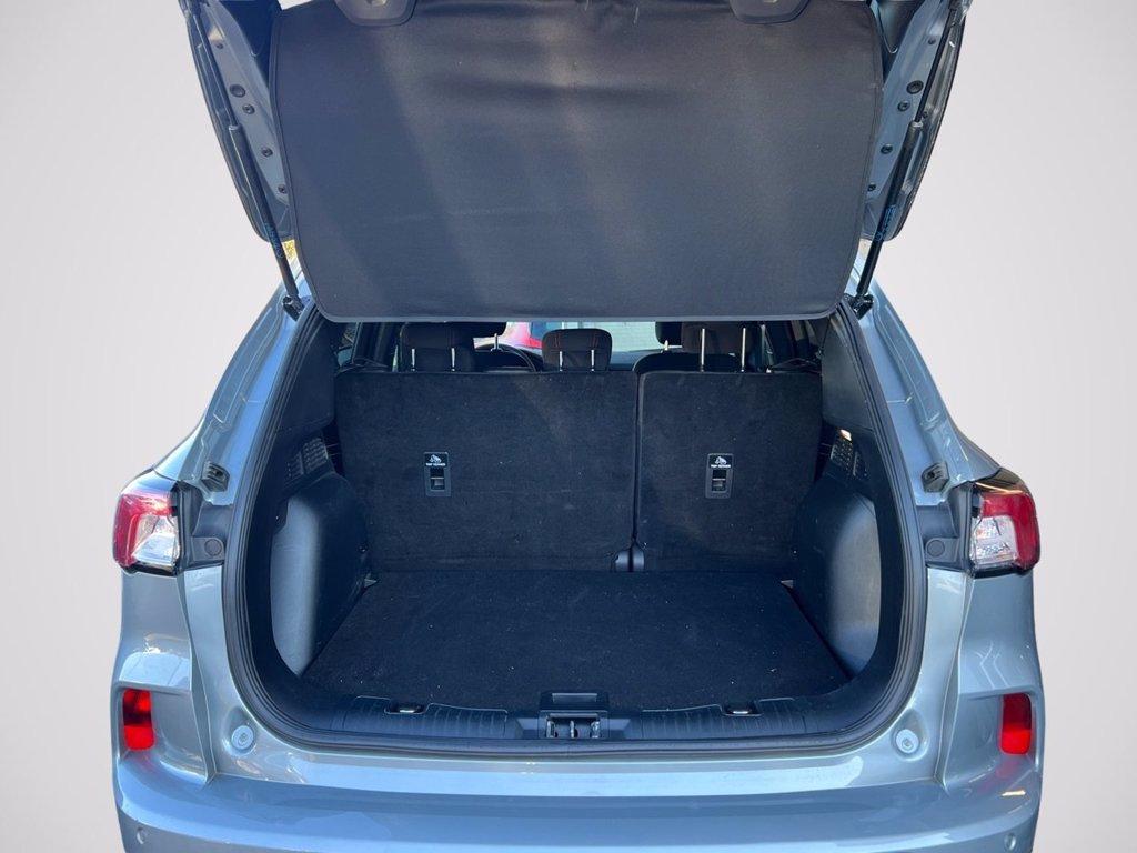 FORD Kuga 1.5 EcoBoost 150 CV 2WD ST-Line del 2023