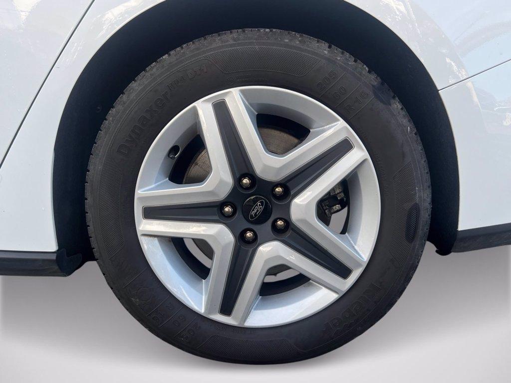 FORD Focus 1.5 EcoBlue 120 CV automatico SW Business del 2022