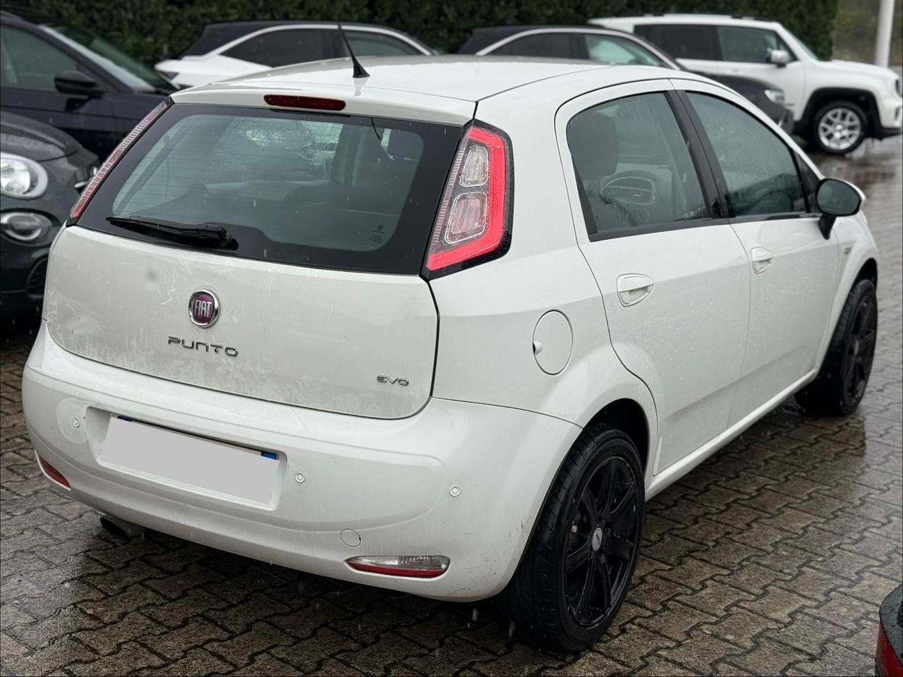 Fiat Punto Evo 1.3 Mjt 95 CV DPF 5 porte S&S Dynamic