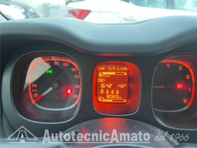 FIAT Panda 3° serie 1.0 FireFly S&S Hybrid City Life