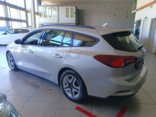 FORD Focus 1.5 EcoBlue 120 CV SW Business