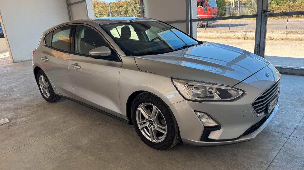 Ford Focus 1.5 EcoBlue 120 CV 5p. Business