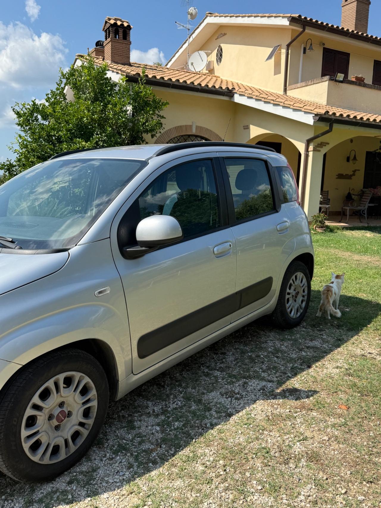 Fiat Panda 1.2 Easy
