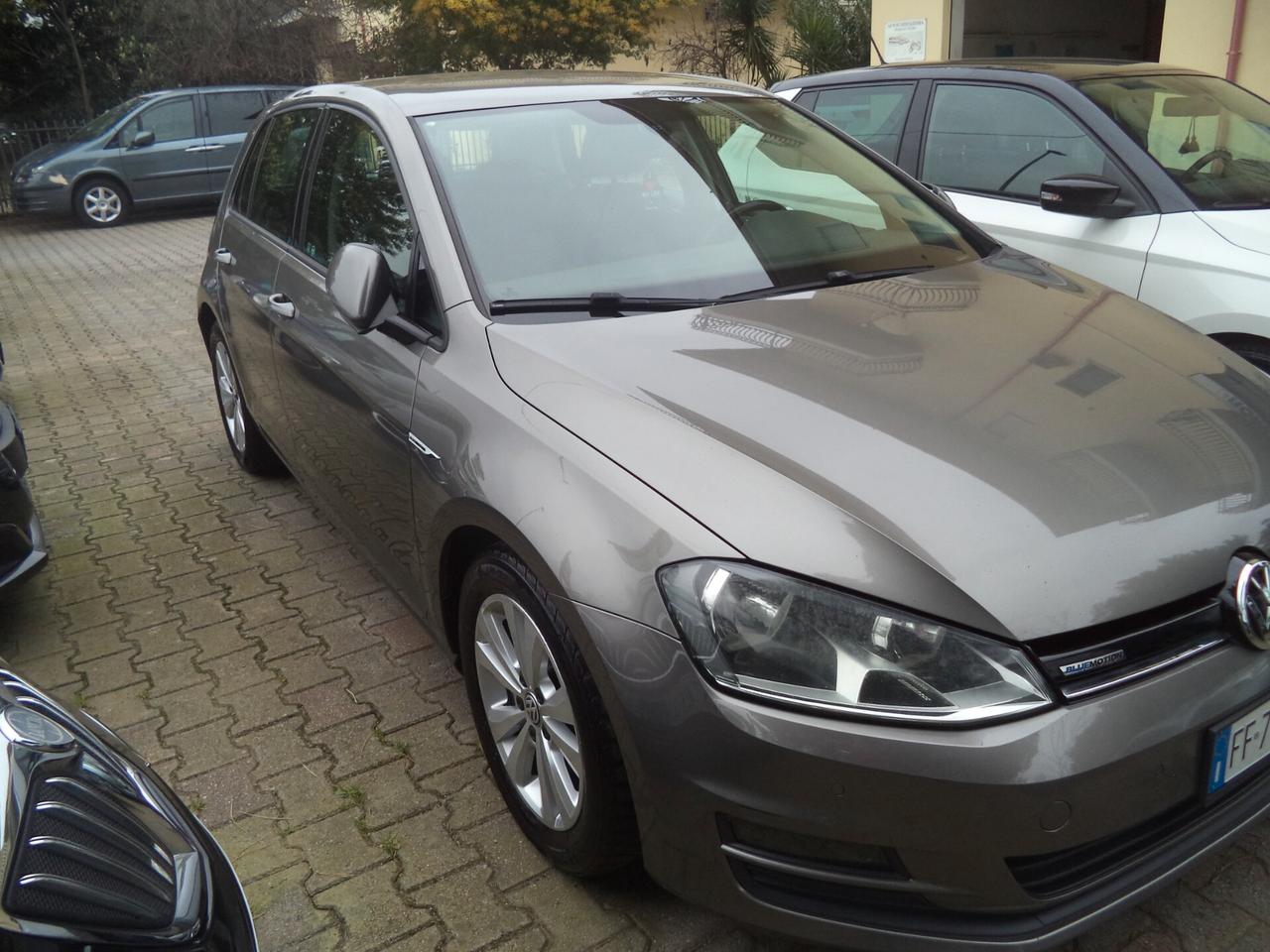 Volkswagen Golf Business 1.6 TDI 5p. Comfortline BlueMotion Technology