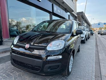 FIAT Panda 3ª serie Panda 1.0 FireFly S&S Hybr...