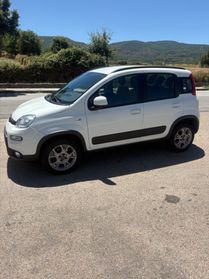 Fiat Panda 4x4 1.3 multijet