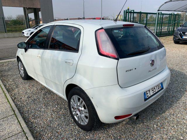 FIAT Punto 1.2 8V 5 porte Street