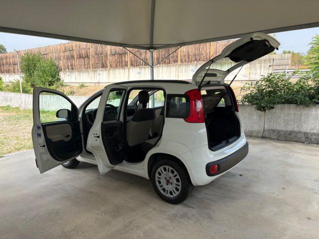 FIAT Panda 1.2 Easy EURO 5 BENZ OK NEOPATENTATI PRONTA CONS.