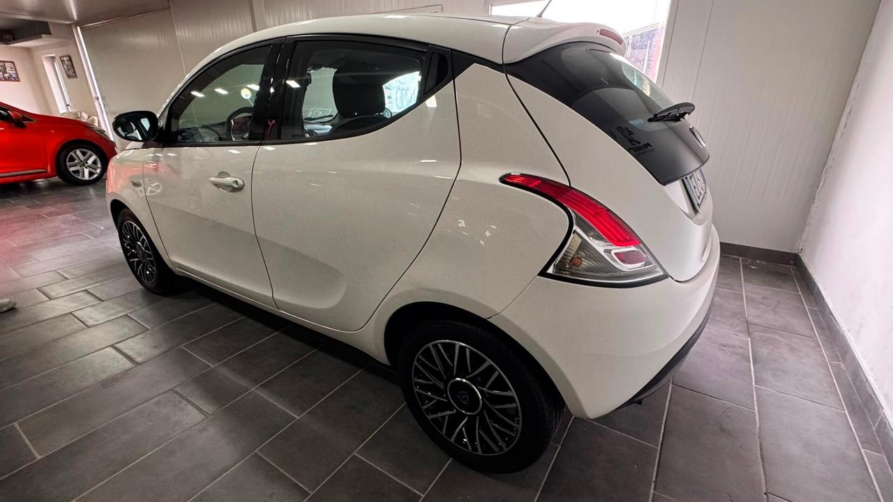 Lancia Ypsilon 1.2 69 CV 5 porte GPL Ecochic Elle